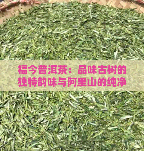 福今普洱茶：品味古树的独特韵味与阿里山的纯净水源