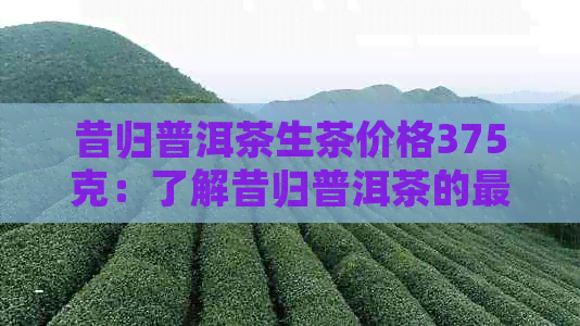 昔归普洱茶生茶价格375克：了解昔归普洱茶的最新行情和价格。