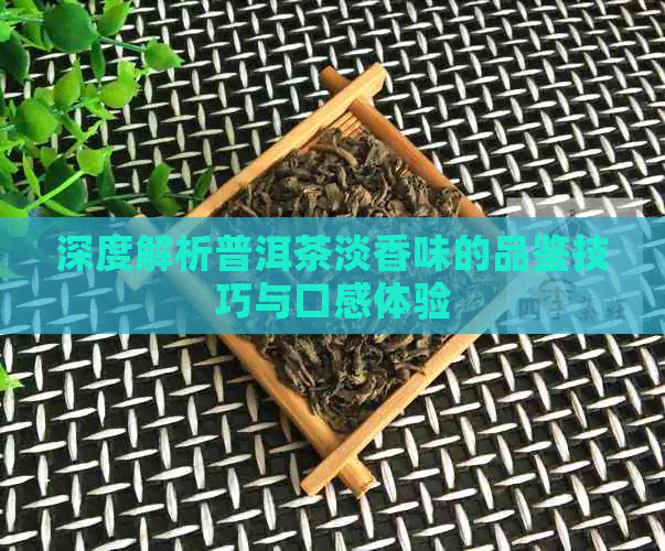 深度解析普洱茶淡香味的品鉴技巧与口感体验