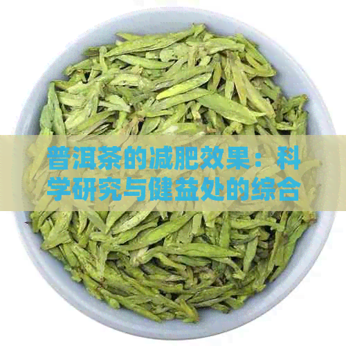 普洱茶的减肥效果：科学研究与健益处的综合分析