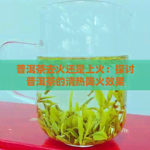 普洱茶去火还是上火：探讨普洱茶的清热降火效果