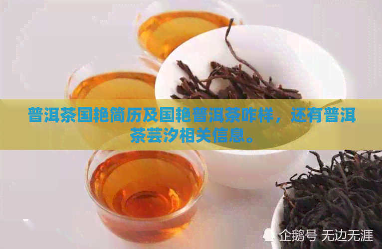 普洱茶国艳简历及国艳普洱茶咋样，还有普洱茶芸汐相关信息。