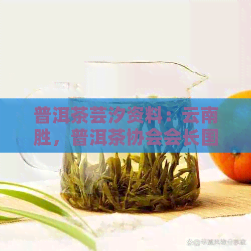 普洱茶芸汐资料：云南胜，普洱茶协会会长国艳