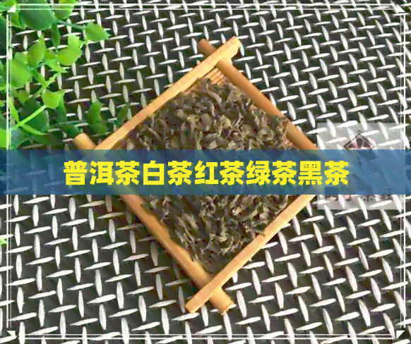 普洱茶白茶红茶绿茶黑茶