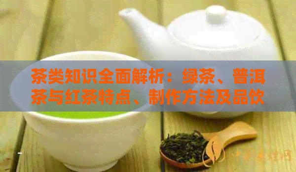 茶类知识全面解析：绿茶、普洱茶与红茶特点、制作方法及品饮技巧