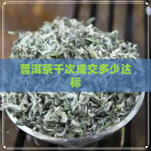 普洱茶千次成交多少达标