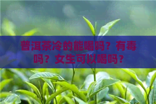 普洱茶冷的能喝吗？有吗？女生可以喝吗？