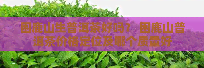 困鹿山生普洱茶好吗？ 困鹿山普洱茶价格定位及哪个质量好