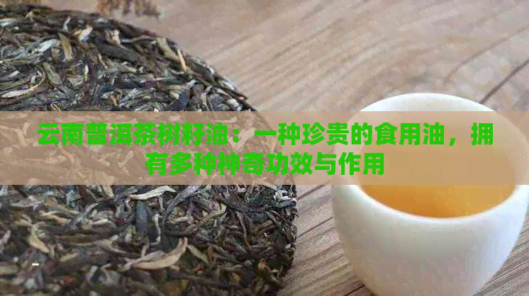 云南普洱茶树籽油：一种珍贵的食用油，拥有多种神奇功效与作用