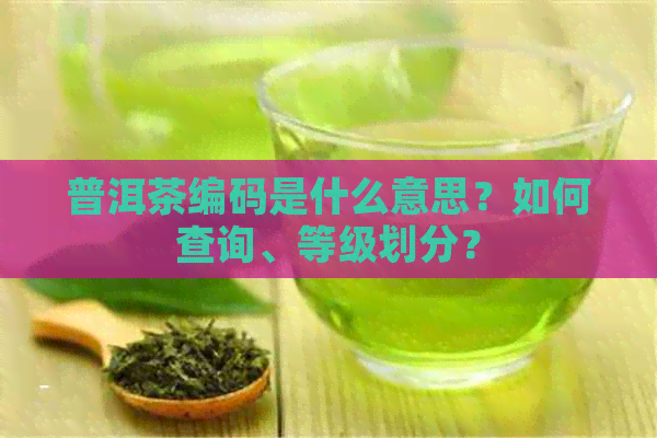 普洱茶编码是什么意思？如何查询、等级划分？