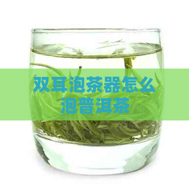 双耳泡茶器怎么泡普洱茶