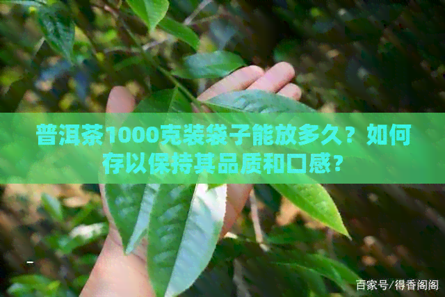 普洱茶1000克装袋子能放多久？如何存以保持其品质和口感？