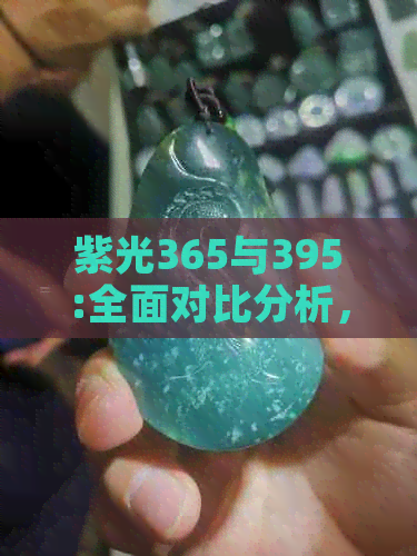 紫光365与395:全面对比分析，深入了解两者差异及各自特点