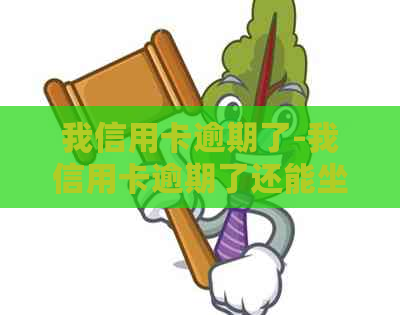 我信用卡逾期了-我信用卡逾期了还能坐高铁吗