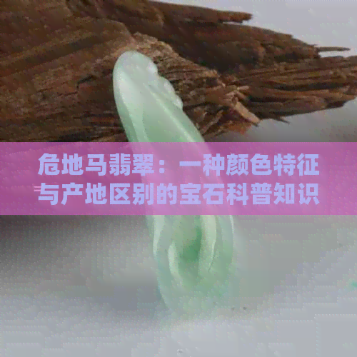 危地马翡翠：一种颜色特征与产地区别的宝石科普知识