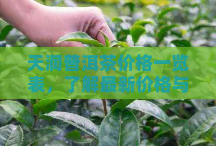 天润普洱茶价格一览表，了解最新价格与查询方式