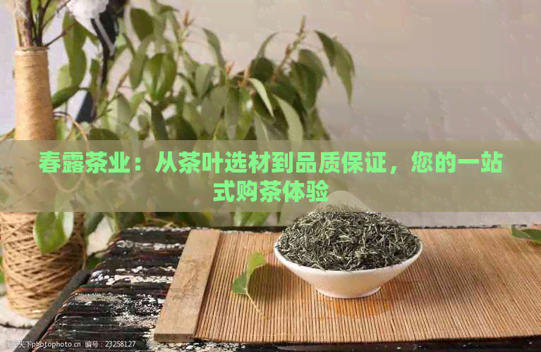 春露茶业：从茶叶选材到品质保证，您的一站式购茶体验