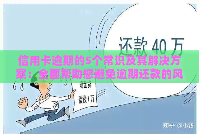 信用卡逾期的5个常识及其解决方案：全面帮助您避免逾期还款的风险