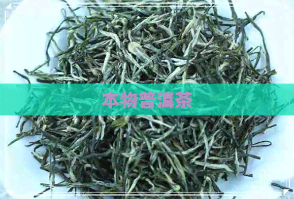 本物普洱茶