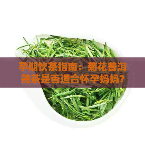 孕期饮茶指南：菊花普洱熟茶是否适合怀孕妈妈？