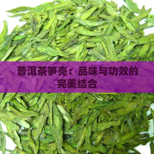 普洱茶笋壳：品味与功效的完美结合