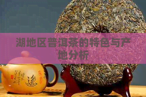 湖地区普洱茶的特色与产地分析