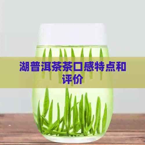 湖普洱茶茶口感特点和评价