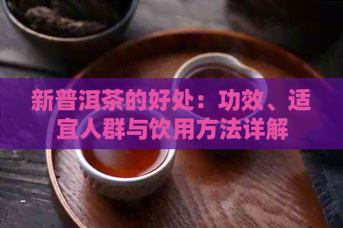 新普洱茶的好处：功效、适宜人群与饮用方法详解