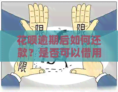 花呗逾期后如何还款？是否可以借用信用卡进行还款？