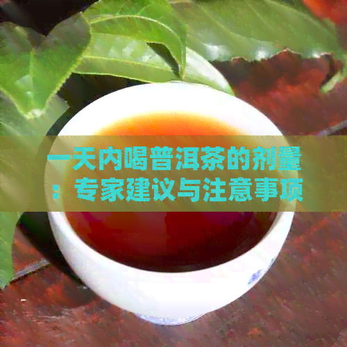 一天内喝普洱茶的剂量：专家建议与注意事项，以确保健饮用