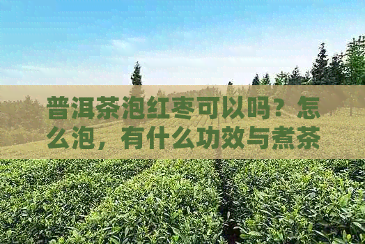 普洱茶泡红枣可以吗？怎么泡，有什么功效与煮茶方法