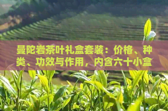 曼陀岩茶叶礼盒套装：价格、种类、功效与作用，内含六十小盒，岩茶曼陀峰。