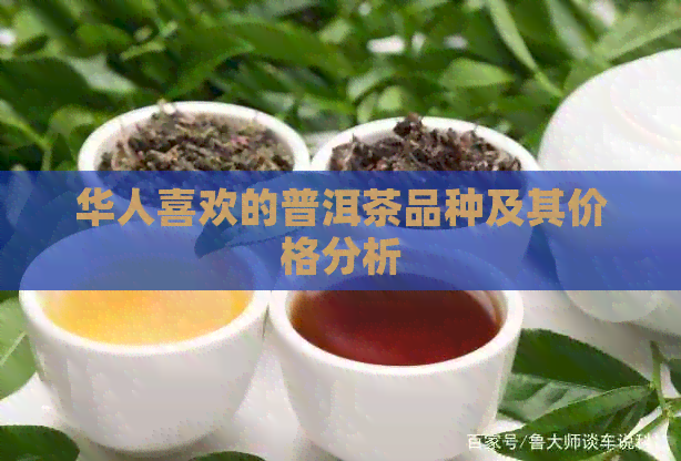 华人喜欢的普洱茶品种及其价格分析