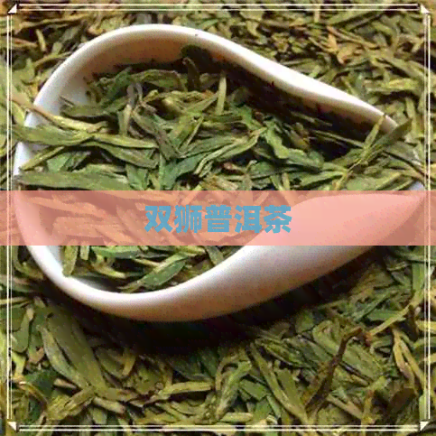 双狮普洱茶