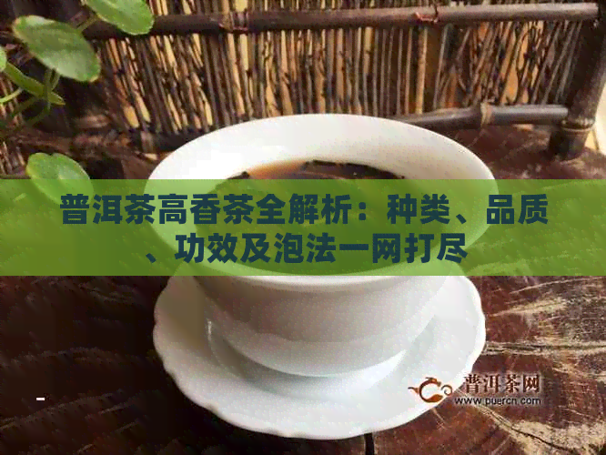 普洱茶高香茶全解析：种类、品质、功效及泡法一网打尽