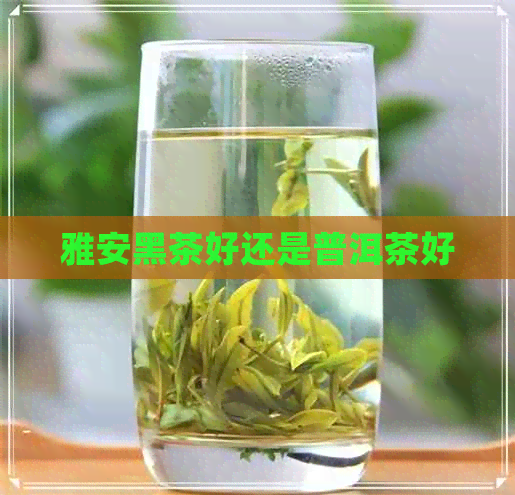 雅安黑茶好还是普洱茶好