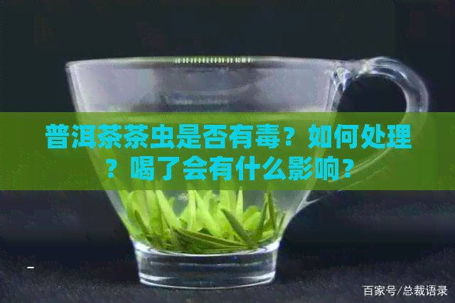 普洱茶茶虫是否有？如何处理？喝了会有什么影响？