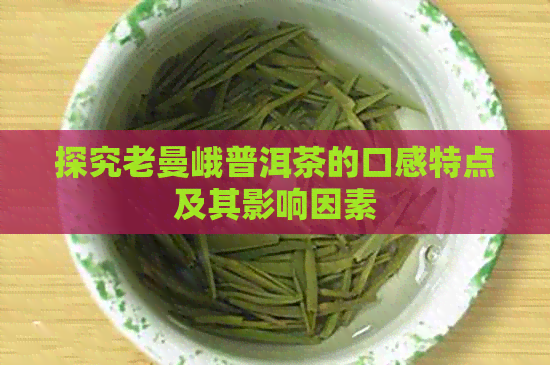 探究老曼峨普洱茶的口感特点及其影响因素