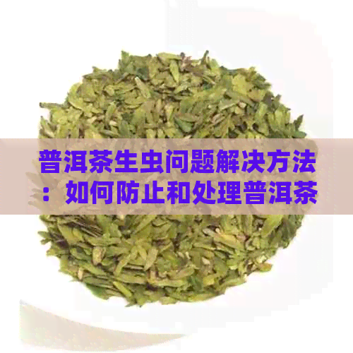 普洱茶生虫问题解决方法：如何防止和处理普洱茶中的虫子？