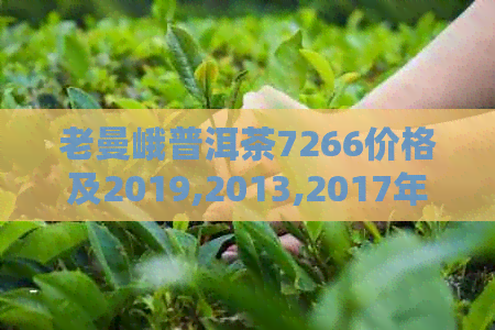 老曼峨普洱茶7266价格及2019,2013,2017年云南口感特点分析