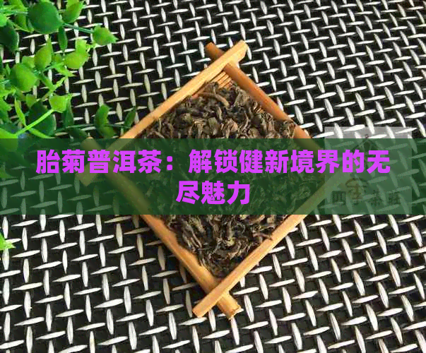 胎菊普洱茶：解锁健新境界的无尽魅力