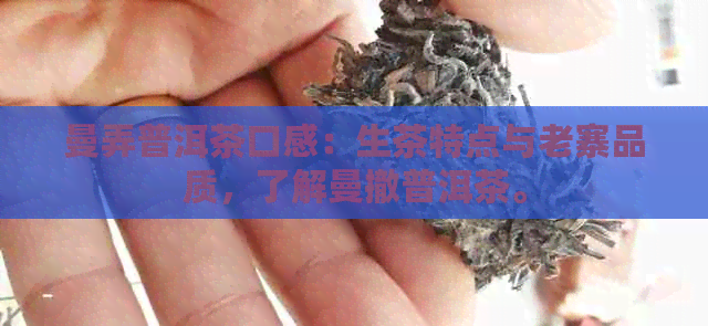 曼弄普洱茶口感：生茶特点与老寨品质，了解曼撤普洱茶。