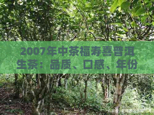 2007年中茶福寿喜普洱生茶：品质、口感、年份与收藏价值全面解析