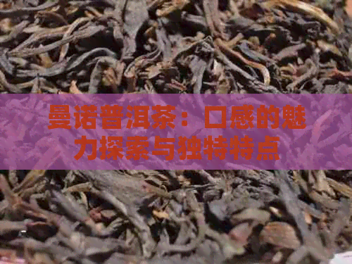 曼诺普洱茶：口感的魅力探索与独特特点