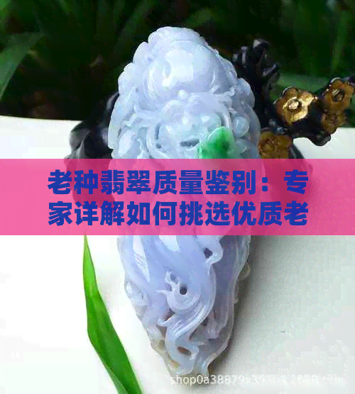 老种翡翠质量鉴别：专家详解如何挑选优质老种翡翠