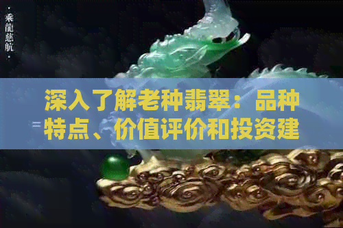 深入了解老种翡翠：品种特点、价值评价和投资建议，全面解答您的疑问