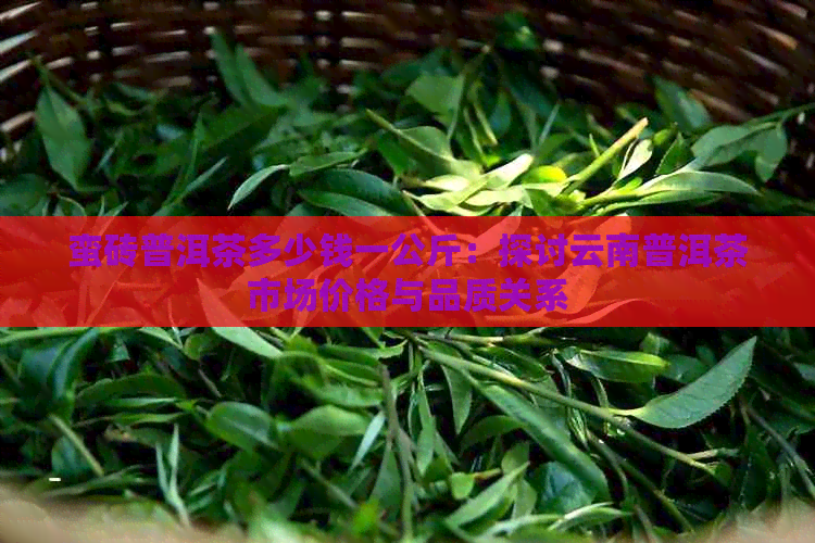 蛮砖普洱茶多少钱一公斤：探讨云南普洱茶市场价格与品质关系