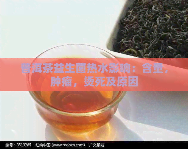 普洱茶益生菌热水影响：含量，肿瘤，烫死及原因