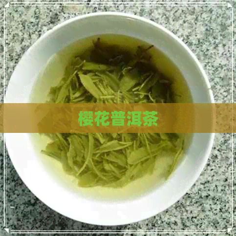 樱花普洱茶