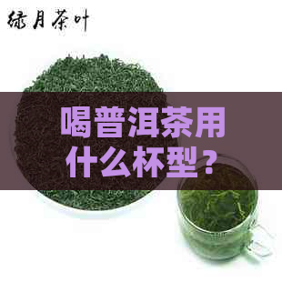 喝普洱茶用什么杯型？